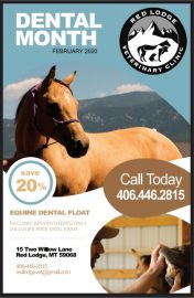 Dental Month February Red Lodge Veterinary Clinic